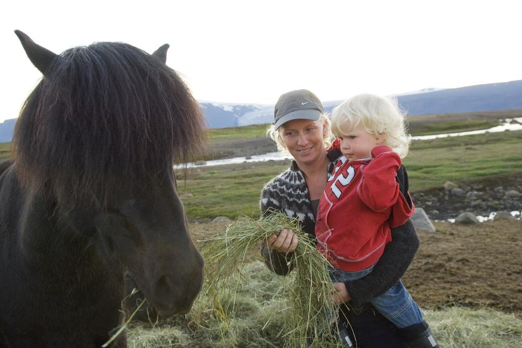 Haukadalur Geysir Hestar 호스텔 객실 사진